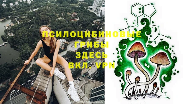 тгк Сосновый Бор