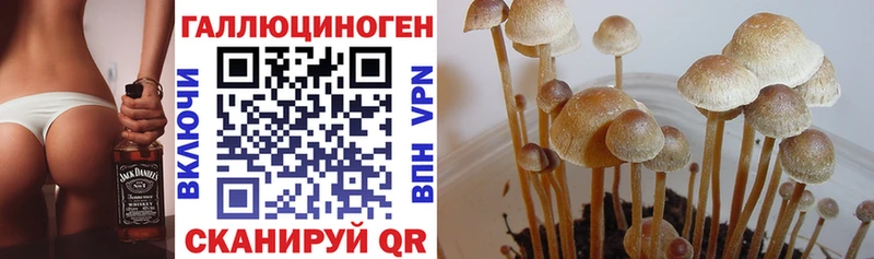 Псилоцибиновые грибы ЛСД  купить закладку  Ленинск-Кузнецкий 